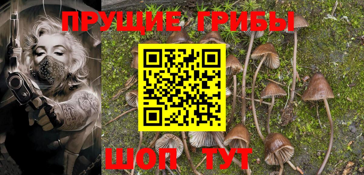 Галлюциногенные грибы Magic Shrooms  Псилоцибиновые грибы мицелий  Ставрополь  Вход с VPN 